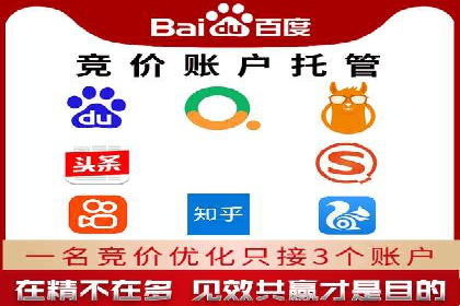 SEM优化技巧：实战案例深度剖析